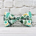 Watermelon Pet Tropical Fern Leaf Dog Bow Tie Dog Collar,Detachable Bowtie Accessory, Adjustable Collar for Small Medium Large Dogs, M (12 --20 in...