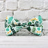 Dog Collar,Detachable Bowtie Accessory, Adjustable...