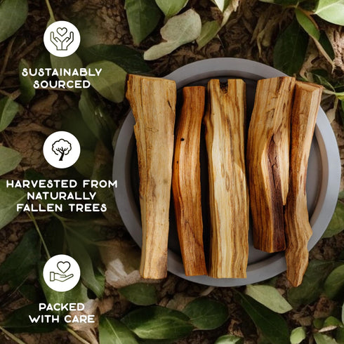 Purple Canyon Palo Santo Incense Sticks - 8 Pack | Sustainably Harvested Natural Incense for Smudging, Meditation, Cleansing, and Stress Relief...