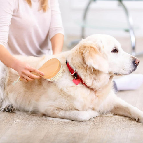 Dog Bath Brush Pet Shampoo Handle Bath Brush with Massage Points Dog Grooming/Washing/Massaging Wooden Brush Natural Bristle Dog Brush Removal Loo...