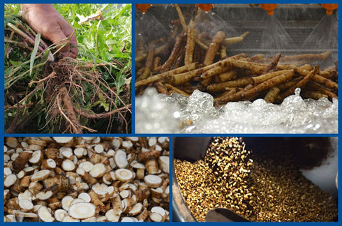 TooGet Organic Dandelion Root - Cut & Sifted, Natural Dried Dandelion Root Loose Tea Wholesale - 8 OZ...