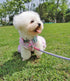 6ft Small Dog Leash, Reflective Dog Leash, Lightweight Nylon Rope Braided Dog Training Leash Walking Cute Puppy Dog Lead (1/3", pink dog lead)...