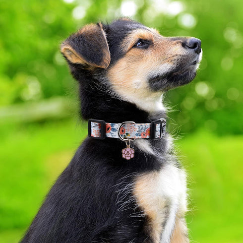 Cotton Dog Collar for Small Medium Large Dogs,Girl Dog Collar with Quick-Release Buckle,Flowers Soft Adjustable Pet Collar (Medium, Orange Rose)...