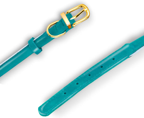 Reflective Rolled Leather Dog Collar for Small Dogs, Adjustable Soft Padded Pet Collar for Small Breed Dogs Puppy (XXS, 7"-9", Teal)...