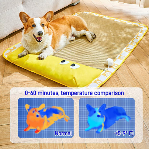 Dog Cooling Mat, 30"x20" Pets Cooling Rattan Pad for Dog and Cat with Pillow, Sleeping Pad & Cool Bed Mat use in Crate, Kennel, Bed, Sofa, Durable...