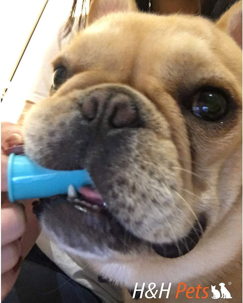 Professional Dog Finger Toothbrush by H&H Pets,Pack of 4...