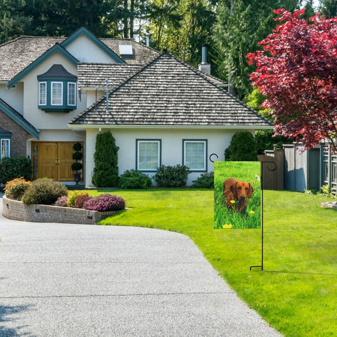 Dachshund Dog Garden Flag Double Sided 12 x 18 Inch, Yard Flags, Decorative Small Garden Flags, Outdoor Lawn and Garden Décor...