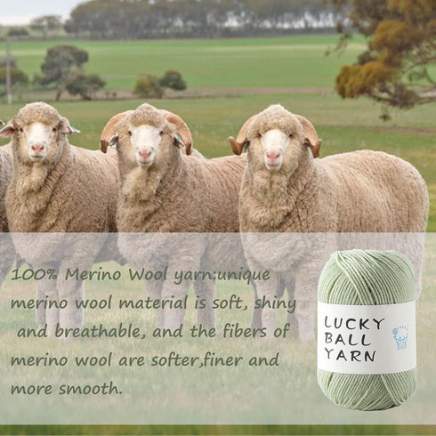 1PCS 100% Merino Wool Yarn for Crocheting,4-Ply Yarn for Knitting,Crochet Yarn Knitting Yarn for Sweater,Scarf?Hat,Socks,Blankets(Cabbage Green).....