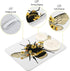 Bee Flower Cute Dish Drying Mat Countertop Protector Kitchen Decor 16" × 18"...