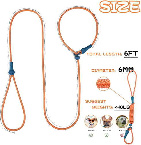 No Pull Dog Leash Slip Lead Dog Leash Dog Leash for Small Medium Large Dogs 6Ft 8 Colors Classic Dog Leash Dog Rope (Orange)...