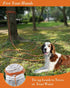Long Dog Leash for Dog Training 10FT 16FT/30FT/50FT/100FT, Reflective Threads Rope Check Cord Dog Leash, Heavy Duty Dog Lead for Large Medium Smal...