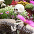 Halloween Fishing Skeleton Garden Accessory, Mini Skeleton Figurines Statue Decor for Fishing Enthusiast Gift Pond Fountain Waterfalls Poolside Go...