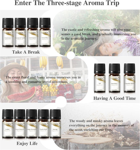 12PCS Fragrance Oils Gift Set, Premium Aroma Journey Aromatherapy Oils for Women, Diffuser, Soap Candle Making - 5ml/0.17fl. oz...