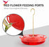 eWonLife Hummingbird Feeder for Outdoors, 2 Pack, Leak-Proof, Easy to Clean and Refill, Saucer Humming Bird Feeder Plastic, Including Hanging Hook...