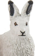 Safari Ltd. Arctic Hare Figurine - Detailed 2.5" Plastic Model Figure - Fun Educational Play Toy for Boys, Girls & Kids Ages 3+...