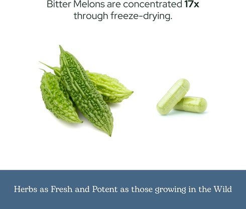 ECLECTIC INSTITUTE Raw Fresh Freeze-Dried Non-GMO Bitter Melon | 90 CT (200 mg)...