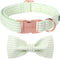 ARING PET Dog Collar-Cute Green Dog Collar with Bow, Adjustable Summer Bowtie Dog Collar Puppy Collars with Metal Buckle for Small Medium Large Do...