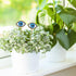 Tuitessine Resin Plant Eyes Stakes Set of 2, Eyeball Garden Plant Accessory, Evil Eye Plant Picks, Indoor Outdoor Plant Pot Decoration, Plant Love...