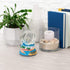 Elanze Designs Florida Dolphins Tabletop Dresser Nightstand Figurine Decoration 100MM Sturdy Glitter Water Wind Up Musical Snow Globe Plays Tune b...
