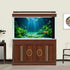 Aquarium Background Undersea Soft Algae Coral Reef Terrarium Background Sunlight Rays on Seabed Sandy Backdrop Underwater Plants Moss Fish Tank Ba...