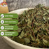 Angel Brand Jamaican Strongback Herb 0.25 oz Pouch Pack of 3 - Sourced from Fertile Land of Jamaica- Strongback Earthy,Woody & Bitter Flavor - Pro...