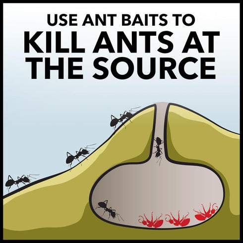 Raid Ant Killer Baits, Child Resistant Bug Killer for Indoor Home Use, 0.24 Oz, 8 Count...