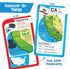 Imagimake Mapology USA Flash Cards | Learn United States Along with Flags and State Shapes | Ages 8-12 | Foam Jigsaw Puzzle, Fun Facts, Educationa...