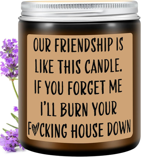 Homsolver Funny Scented Soy Candle Gifts, Our Friendship F Candle - Premium Lavender Scent, Best Friend Birthday Christmas Gifts for Women Friends...
