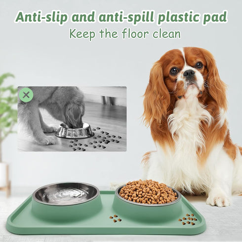 BNOSDM Double Dog Food Bowls Stainless Steel Dog Food and Water Bowls with Non-Spill Plastic Mat Pet Cat Feeder Bowl Set for Puppy Cats Kitten Sma...