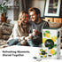 Olinda Green Tea Natural Lemon Flavor Herbal Tea Organic Caffeinated Tea Bags Lemon Green Tea Brew Hot 28 Tea Bags - Pack of 1...
