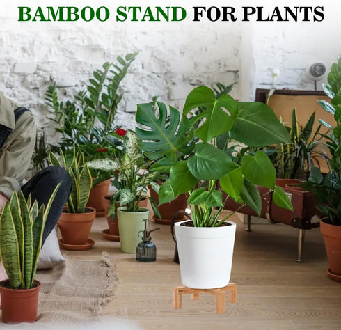 Small Wood Plant Stand, Mid Century Modern Succulents Plant Pot Holder Decorative Planter Stand for Small Indoor Plants (Natural)...