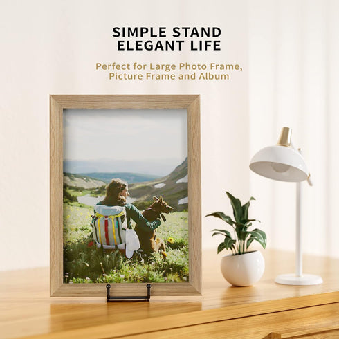 8 Inch Large Plate Stands for Display - Metal Square Wire Plate Holder Display Stand + Picture Stand for Book, Platter, Plaque, Photo Easel (2 Pac...