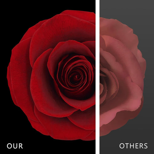 Forever Rose, Eternal Rose Box, Real Preserved Rose, Red Rose Necklace for Women, I Love You Gifts for Her, Birthday Gifts for Women, Aromatherapy...