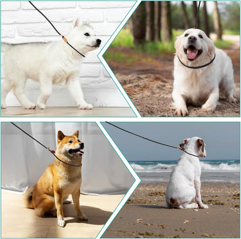 5 Ft Slip Leads No Pull Dog Leash for Dog Training, Puppy Leash for Small Medium Large Dogs, Black No Pull Dog Pet Training Leads, Puppy Training ...