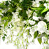 CLONG 5pack Wisteria Garland Flower Garland Artificial Flowers Wisteria Vines Fake Ivy Flowers Total 33ft (White)...