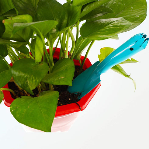 4 Pieces Mini Trowel Set Colorful Metal Hand Shovel Garden Tools for Soil Planting Digging Transplanting...