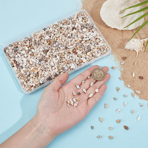 PH PandaHall 1400-1500pcs Tiny Sea Shells 7-12mm Tiny Crushed Shells Miniature Shell NO Hole Seashells Ocean Spiral Seashells for Resin Crafting C...