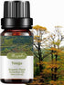 Essential Oil Organic Plant & Natural 100% Pure Therapeutic Grade Aromatherapy Oil for Diffuser, Humidifier, Massage, Sleep, Bath, SPA, Skin & Hai...