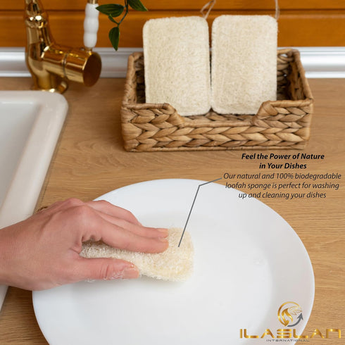 Natural Loofah Dish Sponge Scrubber | Eco-Friendly, Natural, Biodegradable and Reusable Dish Loofah Kitchen Sponge | 3 Count (1 Pack)...