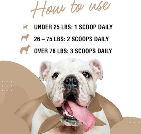 Immune Support Mushroom Powder for Dogs – Organic Mushroom Complex for Immunity, Cognition, Cellular Health, Longevity - With Turkey Tail Mushroom...