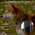 Dog Collar for Large Dogs, Nobleza Adjustable Reflective Boy Dog Collar with Safety Lock and Quick Release Buckle, Durable Nylon Pet Collar with S...