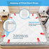 Bed Sheet Straps, 2Pcs Elastic Adjustable Bed Sheet Holder Straps, Fitted Sheet Straps to Hold Sheets in Place with Metal Clips, Sheet Holders for...