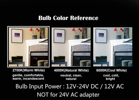 12V/24V DC LED Candle Bulb, Dimmable with 12V DC Dimmer, 4W 400Lm, 2700K Warm White Light, E12 Small Base, Clear Glass Torpedo Tip, 40W Incandesce...