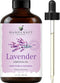 Handcraft Blends Lavender Essential Oil – Huge 4 Fl Oz – 100% Pure and Natural – Premium Grade Essential Oil for Diffuser and Aromatherapy, Skin, ...