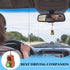 Capybara Car Accessories - Aesthetic Mirror Hanging Ornament Swinging Interior Decor - Cute Animal Capybara Pendant for Women, Men & Teens...