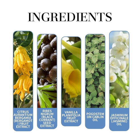 Rebel by for Men, Alloura Rebel Pherom one Cologne for Men, Alloura Rebel Pherom one Perfume for Men, Rebel Cologne Pherom one for Men (2 Pcs)...