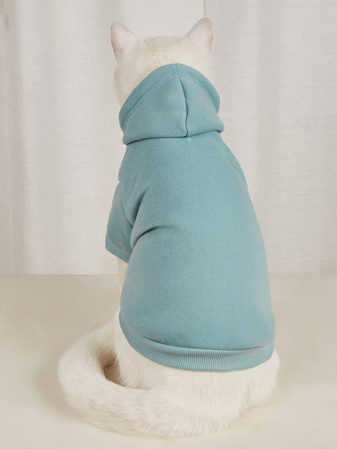 QWINEE Basic Dog Hoodie, Dog Warm Jacket, Cat Apparel, Dog Shirt, Dog Clothes for Puppy Kitten Small Medium Dogs Cats Cadet Blue S...