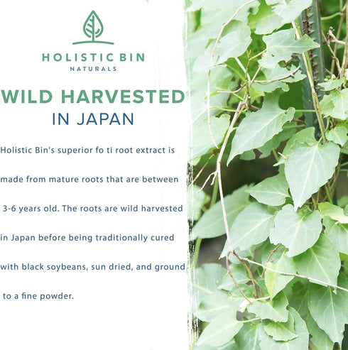 Japanese He Shou Wu Fo Ti Powder Potent Fermented Herbal Extract for Vitality | Wild Harvested in Japan | Pure Fo Ti for Hair Health Support | Ant...
