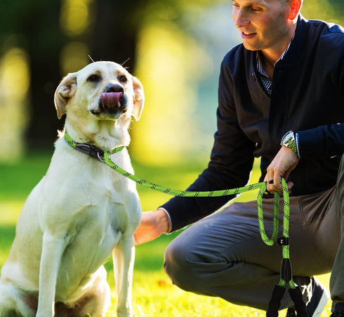 6 FT Dog Leash, durable dog leash, Heavy Duty Rope Dog Leash, Strong Training Dog Leash with Comfortable Padded Handle and Highly Reflective Threa...