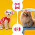 MTLEE 12 Pieces Small Dog Hair Bow Rubber Bands Cute Puppies Hair Bows Pink Doggies Cat Topknot Pet Headdress with Rhinestones Dog Grooming Bowkno...